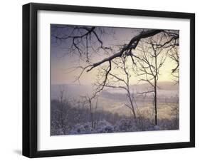 Snow-Covered Trees at Sunset, Cades Cove, Great Smoky Mountains National Park, Tennessee, USA-Adam Jones-Framed Photographic Print