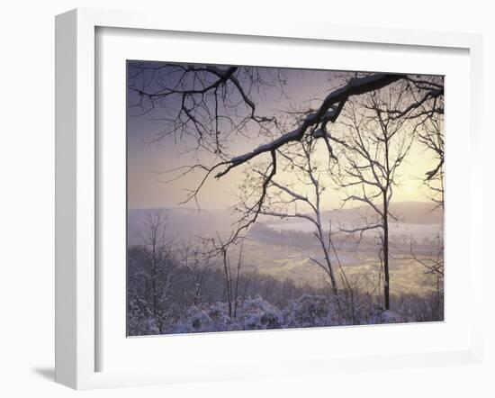 Snow-Covered Trees at Sunset, Cades Cove, Great Smoky Mountains National Park, Tennessee, USA-Adam Jones-Framed Photographic Print