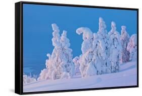 Snow Covered Trees at Sunset-gadag-Framed Stretched Canvas