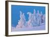 Snow Covered Trees at Sunset-gadag-Framed Photographic Print