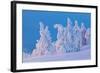 Snow Covered Trees at Sunset-gadag-Framed Photographic Print