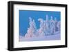 Snow Covered Trees at Sunset-gadag-Framed Photographic Print