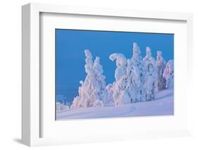 Snow Covered Trees at Sunset-gadag-Framed Photographic Print