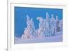 Snow Covered Trees at Sunset-gadag-Framed Photographic Print