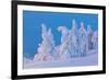 Snow Covered Trees at Sunset-gadag-Framed Photographic Print