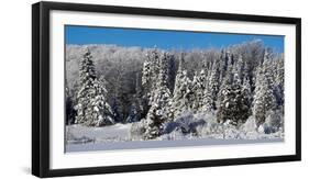 Snow covered trees, Brome Lake, Quebec, Canada-null-Framed Photographic Print