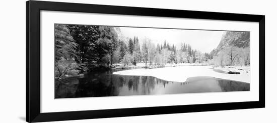 Snow Covered Trees in a Forest, Yosemite National Park, California, USA-null-Framed Photographic Print