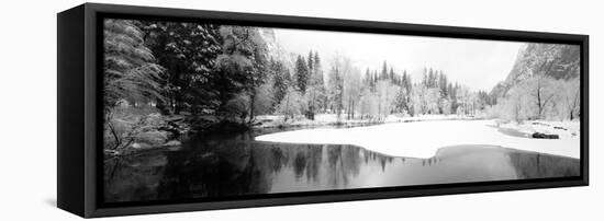 Snow Covered Trees in a Forest, Yosemite National Park, California, USA-null-Framed Stretched Canvas