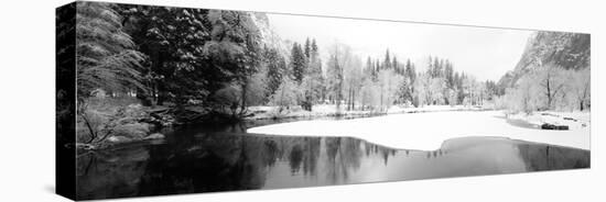 Snow Covered Trees in a Forest, Yosemite National Park, California, USA-null-Stretched Canvas