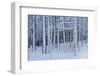 Snow covered trees in forest, Hope, Knox County, Maine, USA-Panoramic Images-Framed Photographic Print