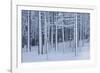 Snow covered trees in forest, Hope, Knox County, Maine, USA-Panoramic Images-Framed Photographic Print