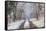 Snow Covered Trees in the Loire Valley Area, Loir-Et-Cher, Centre, France, Europe-Julian Elliott-Framed Stretched Canvas