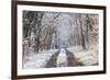 Snow Covered Trees in the Loire Valley Area, Loir-Et-Cher, Centre, France, Europe-Julian Elliott-Framed Photographic Print