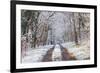 Snow Covered Trees in the Loire Valley Area, Loir-Et-Cher, Centre, France, Europe-Julian Elliott-Framed Photographic Print