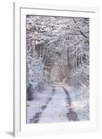 Snow Covered Trees in the Loire Valley Area, Loir-Et-Cher, Centre, France, Europe-Julian Elliott-Framed Photographic Print