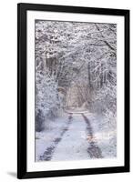 Snow Covered Trees in the Loire Valley Area, Loir-Et-Cher, Centre, France, Europe-Julian Elliott-Framed Photographic Print