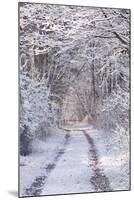 Snow Covered Trees in the Loire Valley Area, Loir-Et-Cher, Centre, France, Europe-Julian Elliott-Mounted Photographic Print