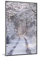 Snow Covered Trees in the Loire Valley Area, Loir-Et-Cher, Centre, France, Europe-Julian Elliott-Mounted Photographic Print