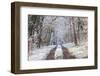 Snow Covered Trees in the Loire Valley Area, Loir-Et-Cher, Centre, France, Europe-Julian Elliott-Framed Photographic Print