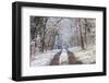 Snow Covered Trees in the Loire Valley Area, Loir-Et-Cher, Centre, France, Europe-Julian Elliott-Framed Photographic Print