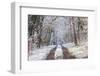 Snow Covered Trees in the Loire Valley Area, Loir-Et-Cher, Centre, France, Europe-Julian Elliott-Framed Photographic Print