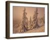 Snow-Covered Trees in Winter at Sunset-Marcus Lange-Framed Photographic Print