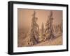 Snow-Covered Trees in Winter at Sunset-Marcus Lange-Framed Photographic Print