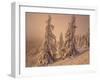 Snow-Covered Trees in Winter at Sunset-Marcus Lange-Framed Photographic Print