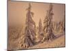 Snow-Covered Trees in Winter at Sunset-Marcus Lange-Mounted Photographic Print