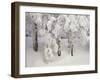 Snow-Covered Trees in Winter, Feldberg Mountain, Black Forest, Baden Wurttemberg, Germany, Europe-Marcus Lange-Framed Photographic Print