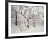 Snow-Covered Trees in Winter, Feldberg Mountain, Black Forest, Baden Wurttemberg, Germany, Europe-Marcus Lange-Framed Photographic Print