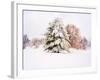 Snow Covered Trees in Winter Landscape-Jan Lakey-Framed Photographic Print