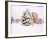 Snow Covered Trees in Winter Landscape-Jan Lakey-Framed Photographic Print