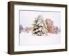 Snow Covered Trees in Winter Landscape-Jan Lakey-Framed Photographic Print