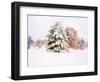 Snow Covered Trees in Winter Landscape-Jan Lakey-Framed Photographic Print