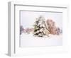 Snow Covered Trees in Winter Landscape-Jan Lakey-Framed Photographic Print