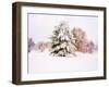 Snow Covered Trees in Winter Landscape-Jan Lakey-Framed Photographic Print