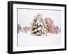 Snow Covered Trees in Winter Landscape-Jan Lakey-Framed Photographic Print