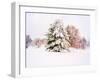 Snow Covered Trees in Winter Landscape-Jan Lakey-Framed Photographic Print