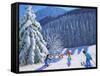 Snow Covered Trees, La Clusaz, France, 2015-Andrew Macara-Framed Stretched Canvas