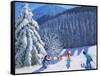 Snow Covered Trees, La Clusaz, France, 2015-Andrew Macara-Framed Stretched Canvas