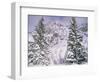 Snow covered trees on a mountain, Utah, USA-Panoramic Images-Framed Photographic Print