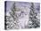 Snow covered trees on a mountain, Utah, USA-Panoramic Images-Stretched Canvas