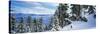 Snow Covered Trees on Mountainside, Lake Tahoe, Nevada, USA-null-Stretched Canvas