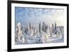 Snow Covered Trees, Riisitunturi National Park, Lapland, Finland-Peter Adams-Framed Photographic Print