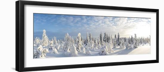 Snow Covered Trees, Riisitunturi National Park, Lapland, Finland-Peter Adams-Framed Premium Photographic Print