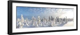 Snow Covered Trees, Riisitunturi National Park, Lapland, Finland-Peter Adams-Framed Premium Photographic Print