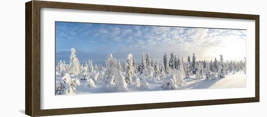 Snow Covered Trees, Riisitunturi National Park, Lapland, Finland-Peter Adams-Framed Photographic Print