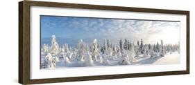 Snow Covered Trees, Riisitunturi National Park, Lapland, Finland-Peter Adams-Framed Photographic Print