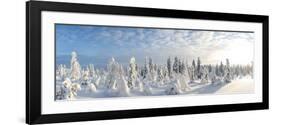 Snow Covered Trees, Riisitunturi National Park, Lapland, Finland-Peter Adams-Framed Photographic Print